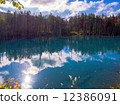 Blue pond 12386091