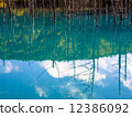 Blue pond 12386092