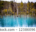 Blue pond 12386096