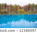 Blue pond 12386097