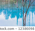 Blue pond 12386098