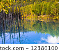 Blue pond 12386100