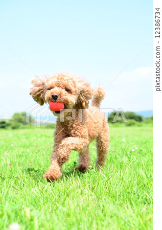 我拿了♪ 我拿了♪ 12386734