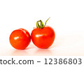 Two red tomatoes side view isolated on white background with shadows 12386803