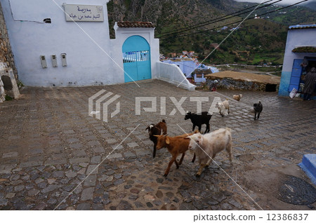 Morocco Chefenne 12386837