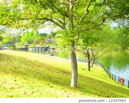 在池塘的岸邊 12387064