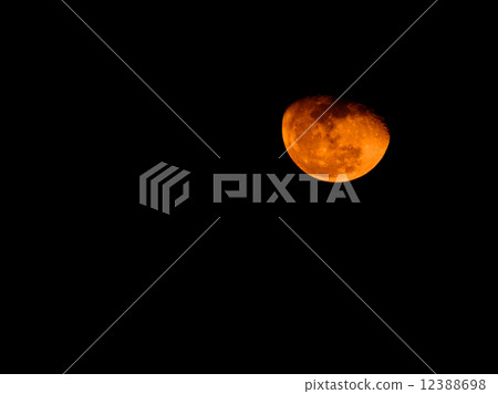 Orange moon 12388698