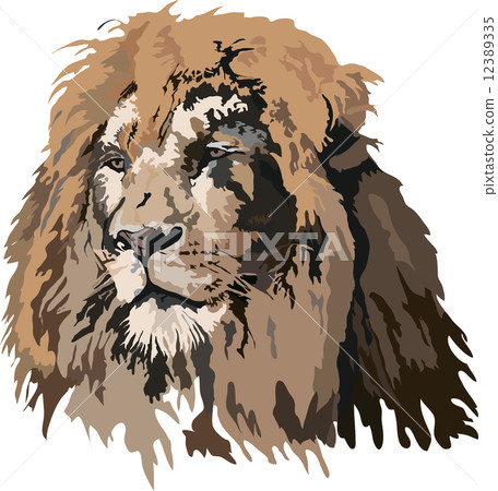 Lion Vector Lion Vector 12389335
