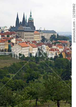 View of Prague Castle View of Prague Castle 12389462