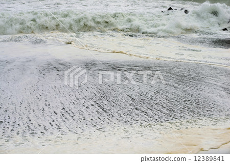Sea Sea 12389841