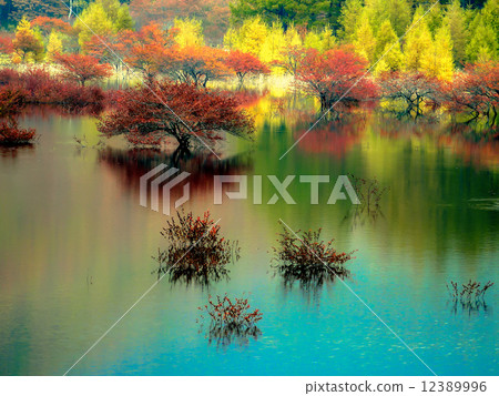 Odashiro秋季葉子 12389996