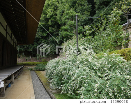 Hagi of Sogou-ji Hagi of Sogou-ji 12390058