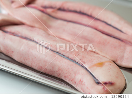 Salmon sila 12390324