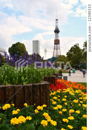 大通公園 大通公園 12390333