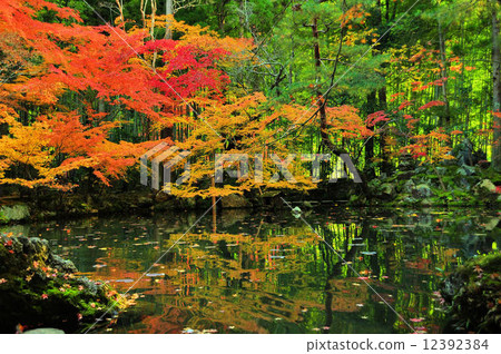 Nanzenji Tensenan in autumn 12392384