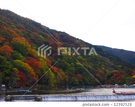 Arashiyama秋葉 12392528