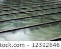 Water flow　 12392646