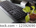 Keyboard and green 12392690