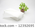Tissue and green 12392695