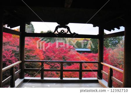 Autumn leaves from Tonenbashi Autumn leaves from Tonenbashi 12392710