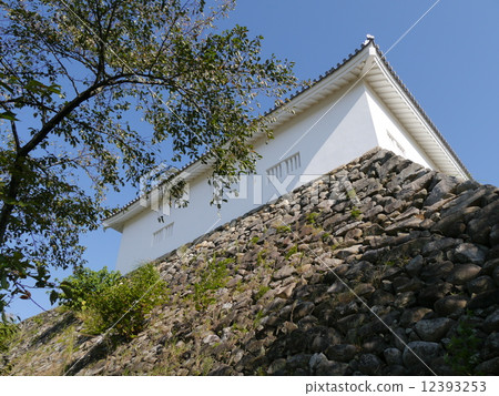 South side of Kameyama Castle Tamon Yagura (2014) 12393253