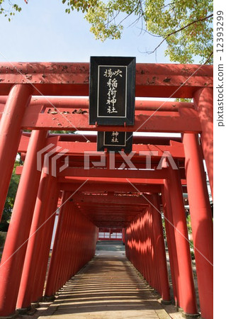Imabari castle Fuki Inari Inari shrine Imabari castle Fuki Inari Inari shrine 12393299