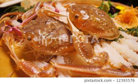 松葉蟹 12393576