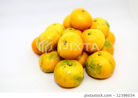 柑橘1個 12396034