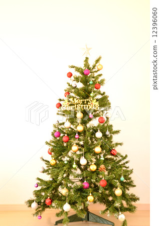 Christmas tree  12396060