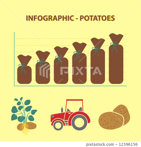 infographic with graph of production growth of potatoes infographic with graph of production growth of potatoes 12396156
