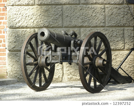 Old Cannon 12397252