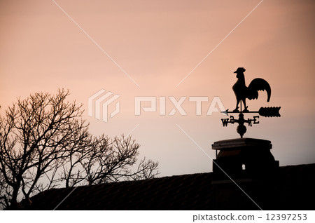 weathercock 12397253