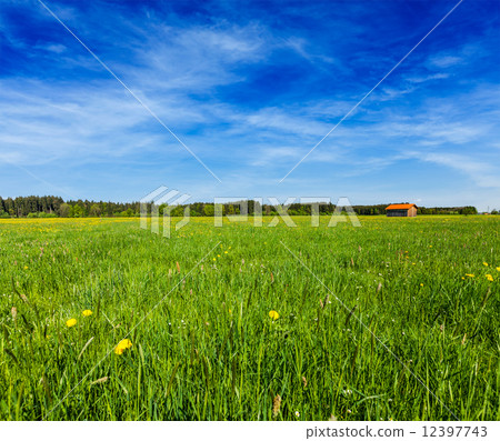 Summer meadow Summer meadow 12397743
