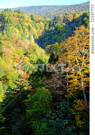 Black waterfall 12397753