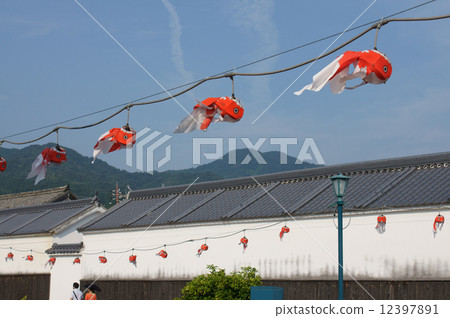 柳井金魚元宵節·街景 12397891