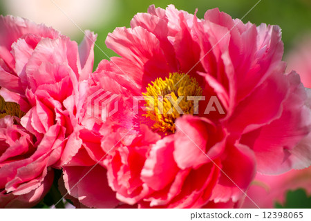 按鍵 按鍵 12398065