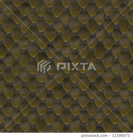 snake skin snake skin 12398073