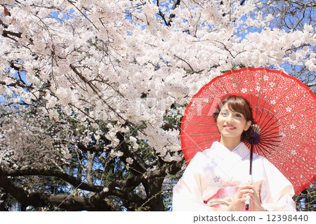 Japanese-style clothes wearing cherry blossoms Japanese-style clothes wearing cherry blossoms 12398440