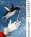 Christmas Penguin 12398987