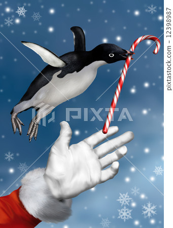 Christmas Penguin 12398987