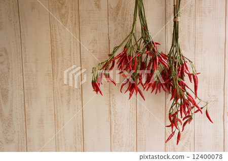 鷹釘乾花 12400078