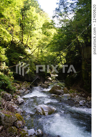 Hihara Stream Hihara Stream 12400620