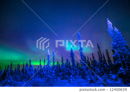 Aurora Aurora 12400639