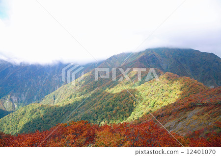 Tenjin Pass 12401070