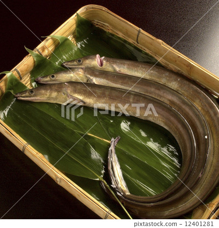 一壺 12401281