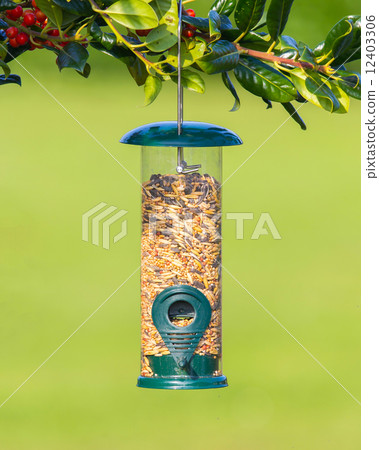 Bird feeder full of seeds 12403306