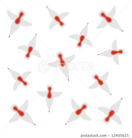 Texture of Clione 12405625