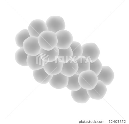 Staphylococcus aureus Staphylococcus aureus 12405852