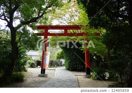 Awashima Shrine Awashima Shrine 12405859