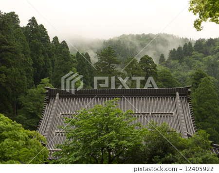 Rain Temple 12405922